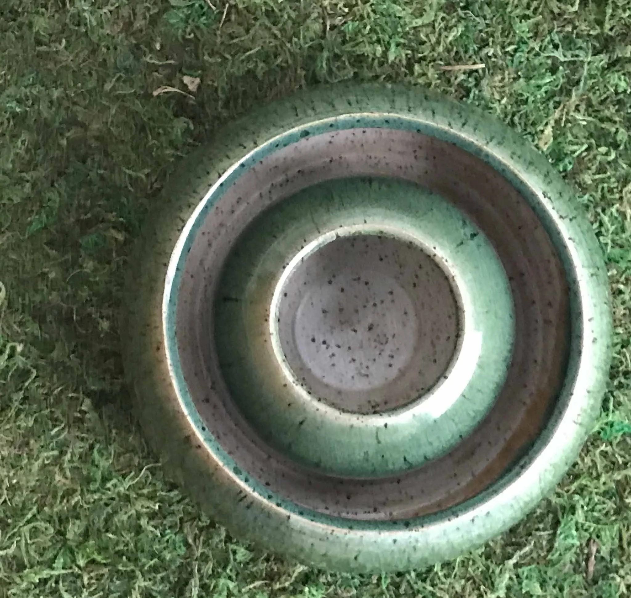 HAHiland- Two Ivy Green Pots Top View-1.JPG