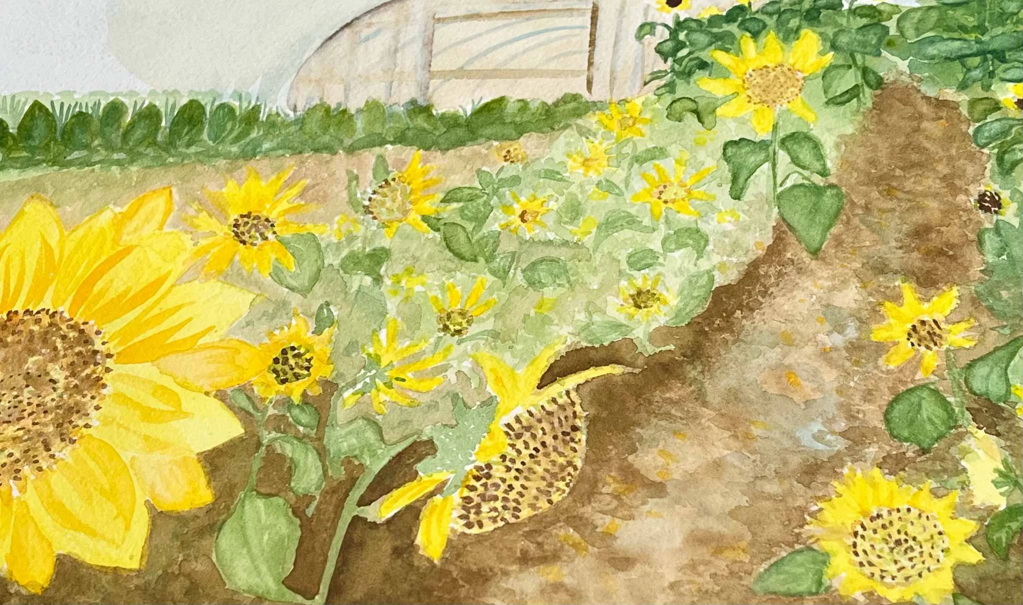 HAHiland- Flower Farm-1.jpg