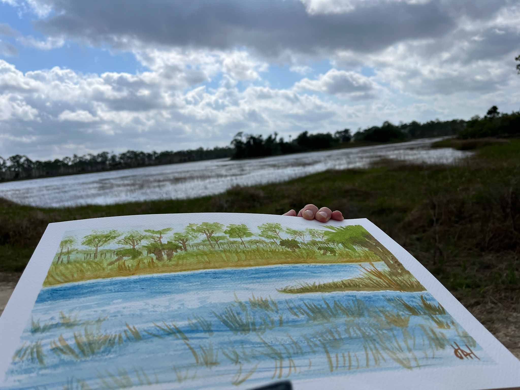 HAHiland- Babcock Webb Wetland-1.jpg