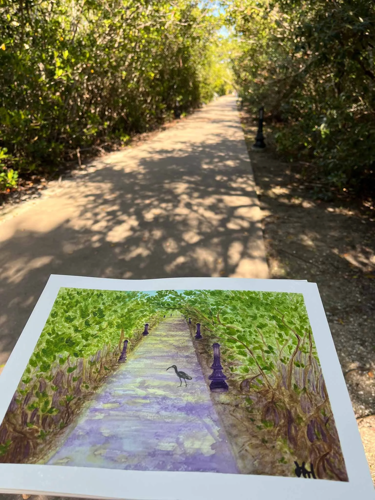 HAHiland- Harbor Walkway-1.jpg