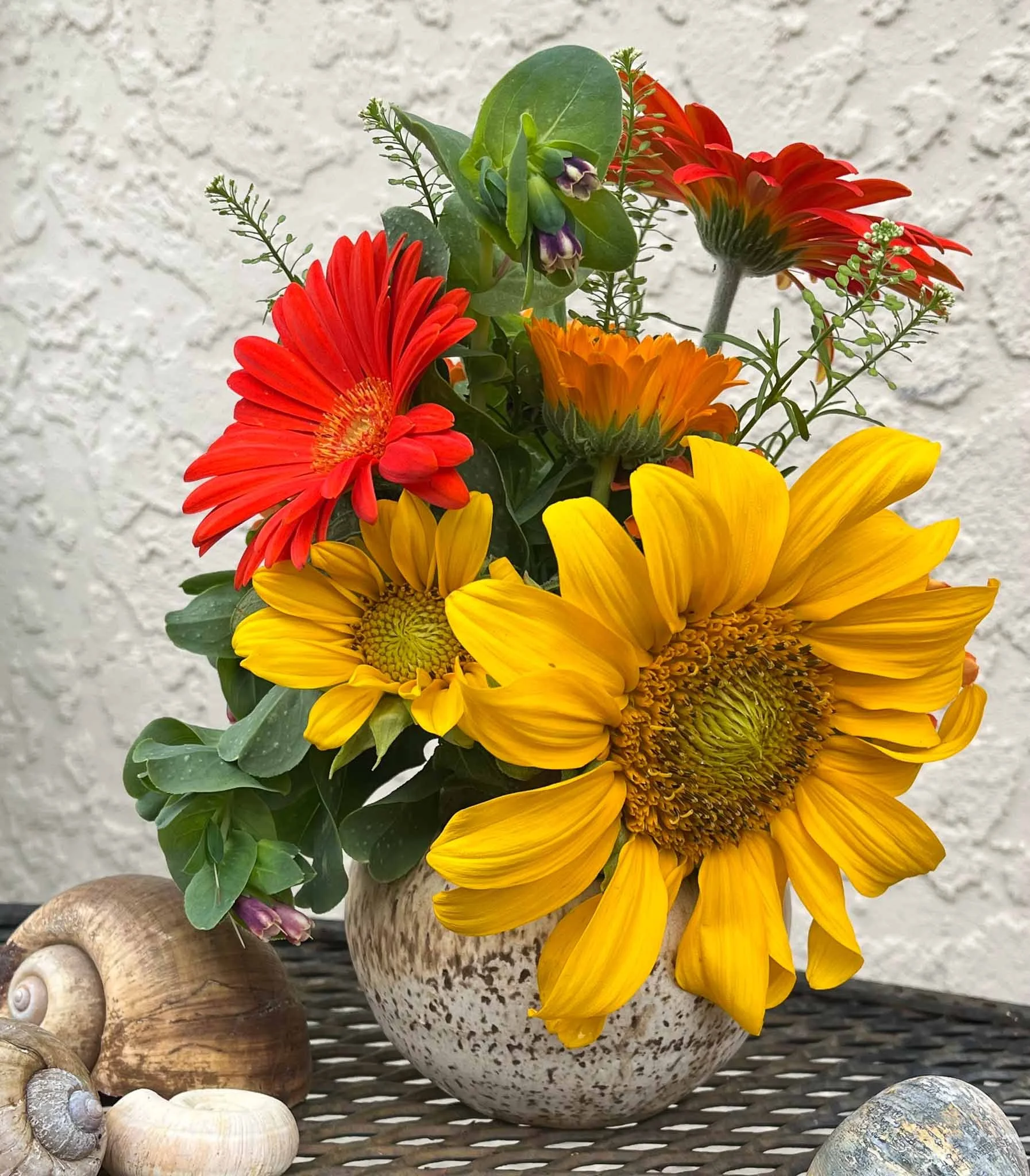 HAHiland- Spring Harvest-1.jpg