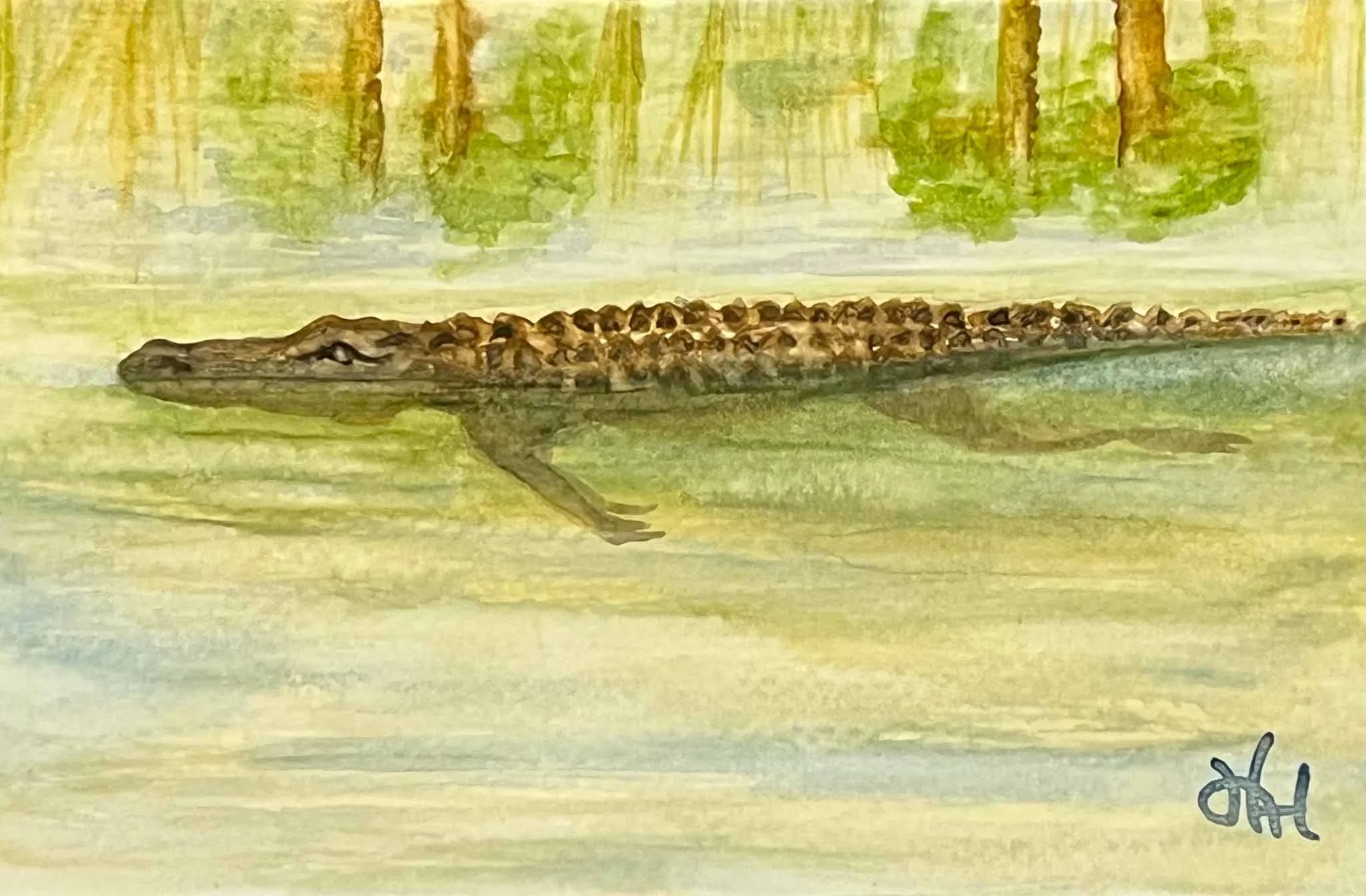 HAHiland- Alligator-1.jpg