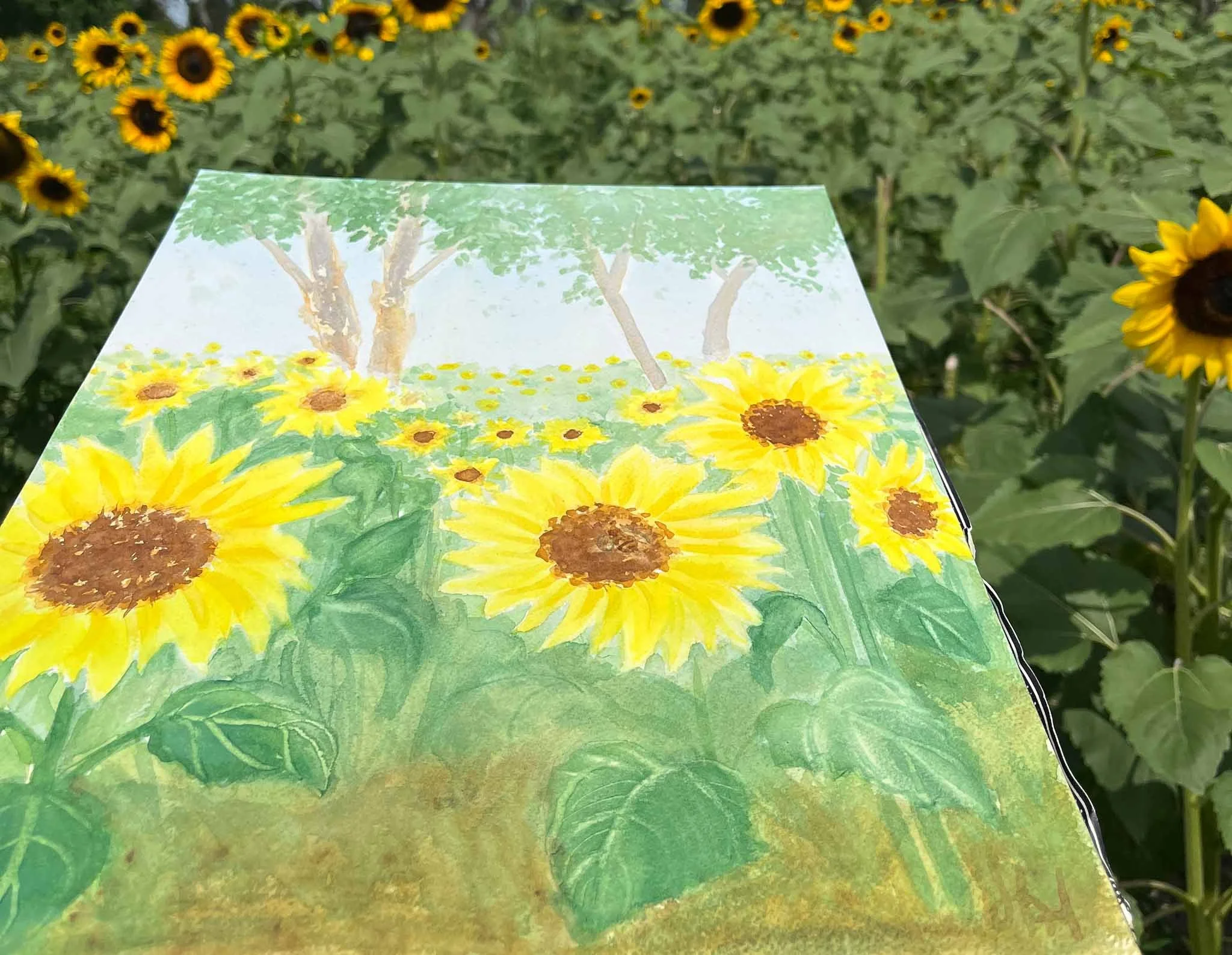 HAHiland- Worden Flower Farm 26 cropped-1.jpg