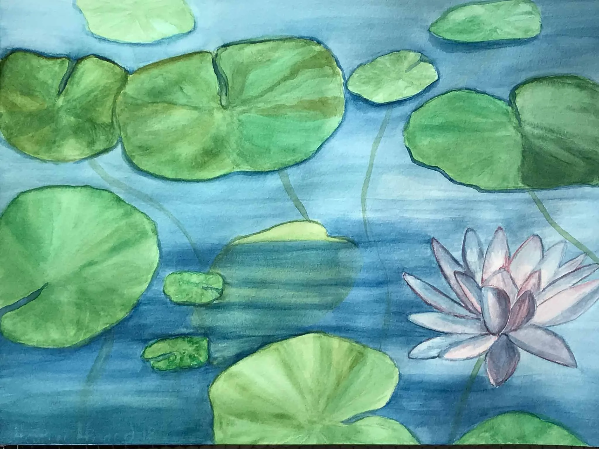 HAHiland- Waterlily-1.jpg