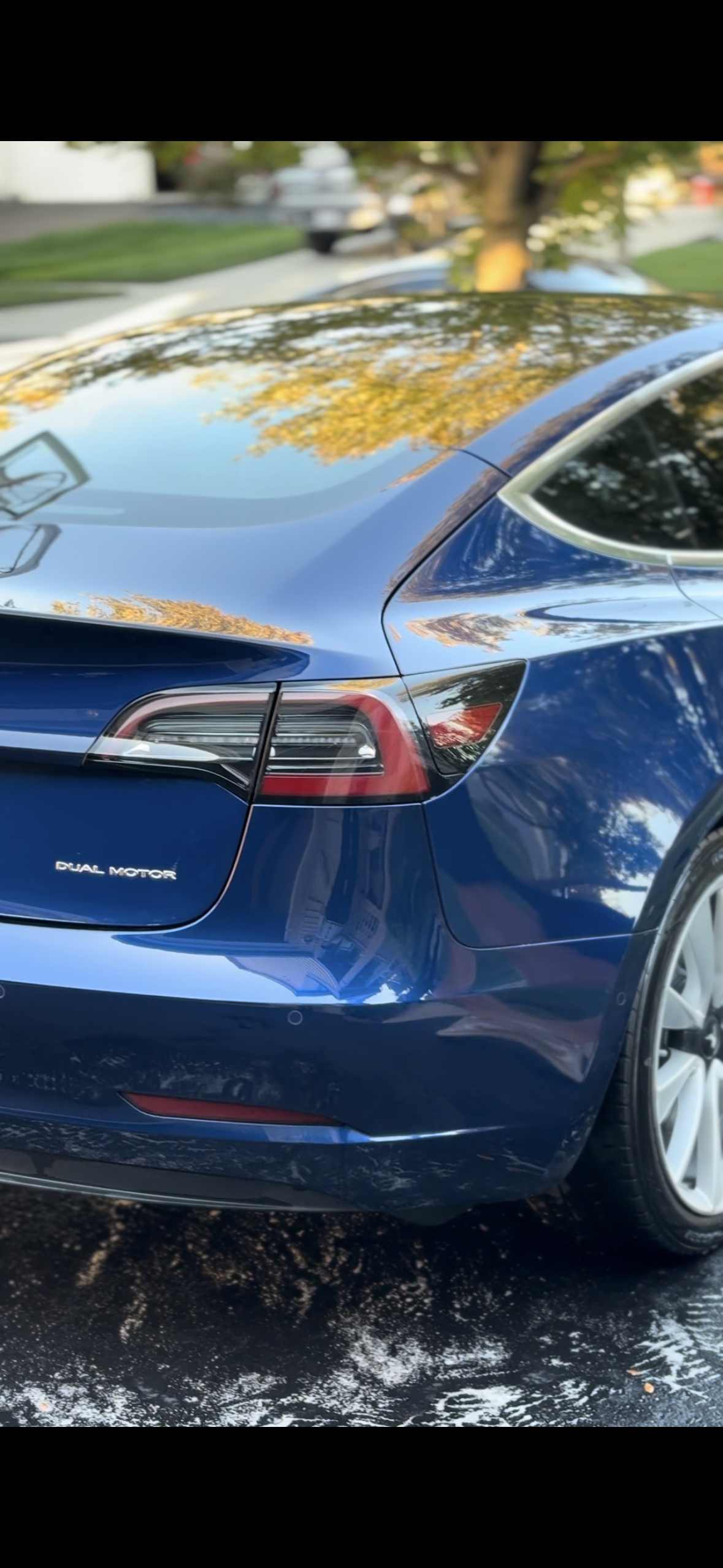 Monthly Subscription Detailing