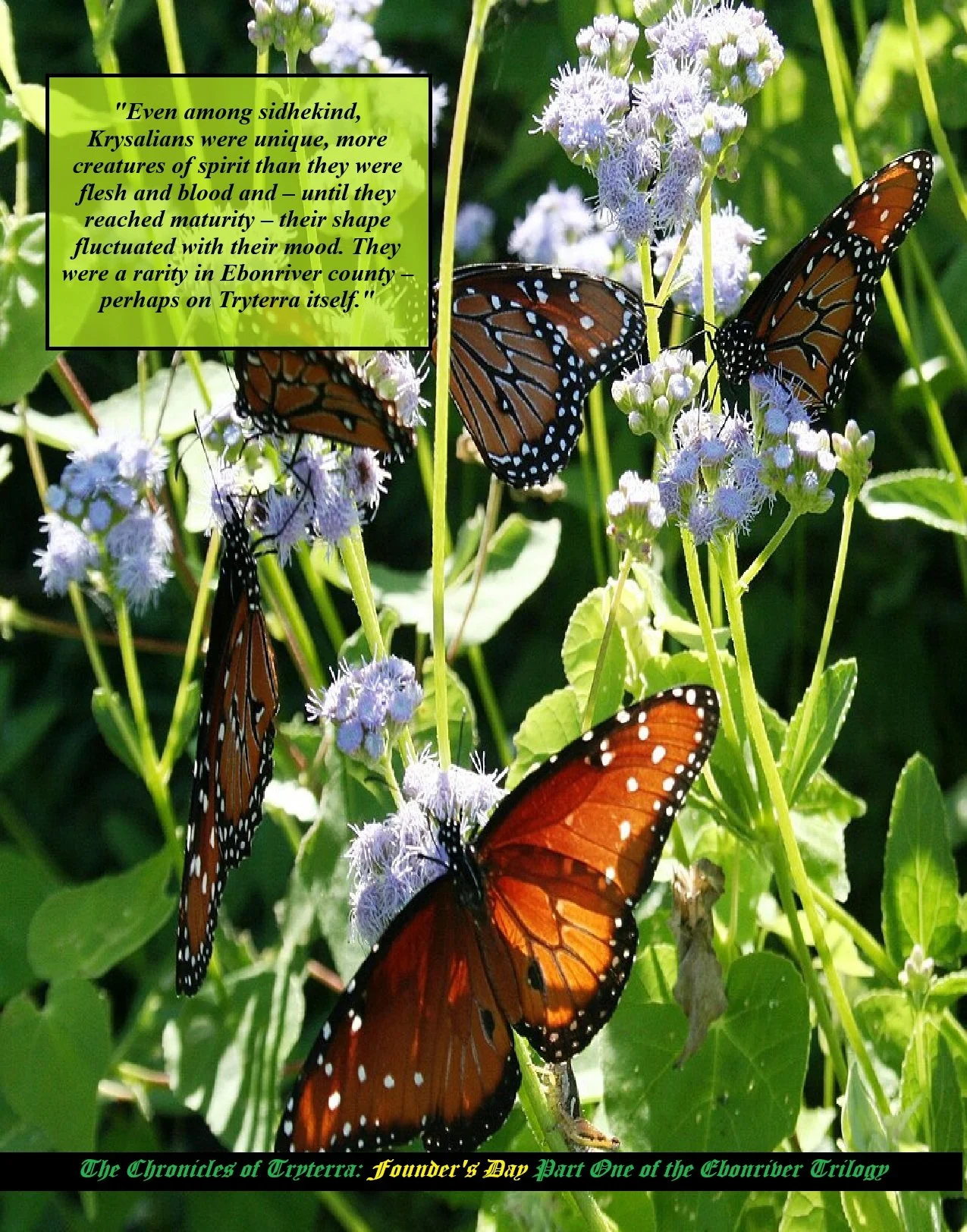 public domain and creative commons image used for ad purposes