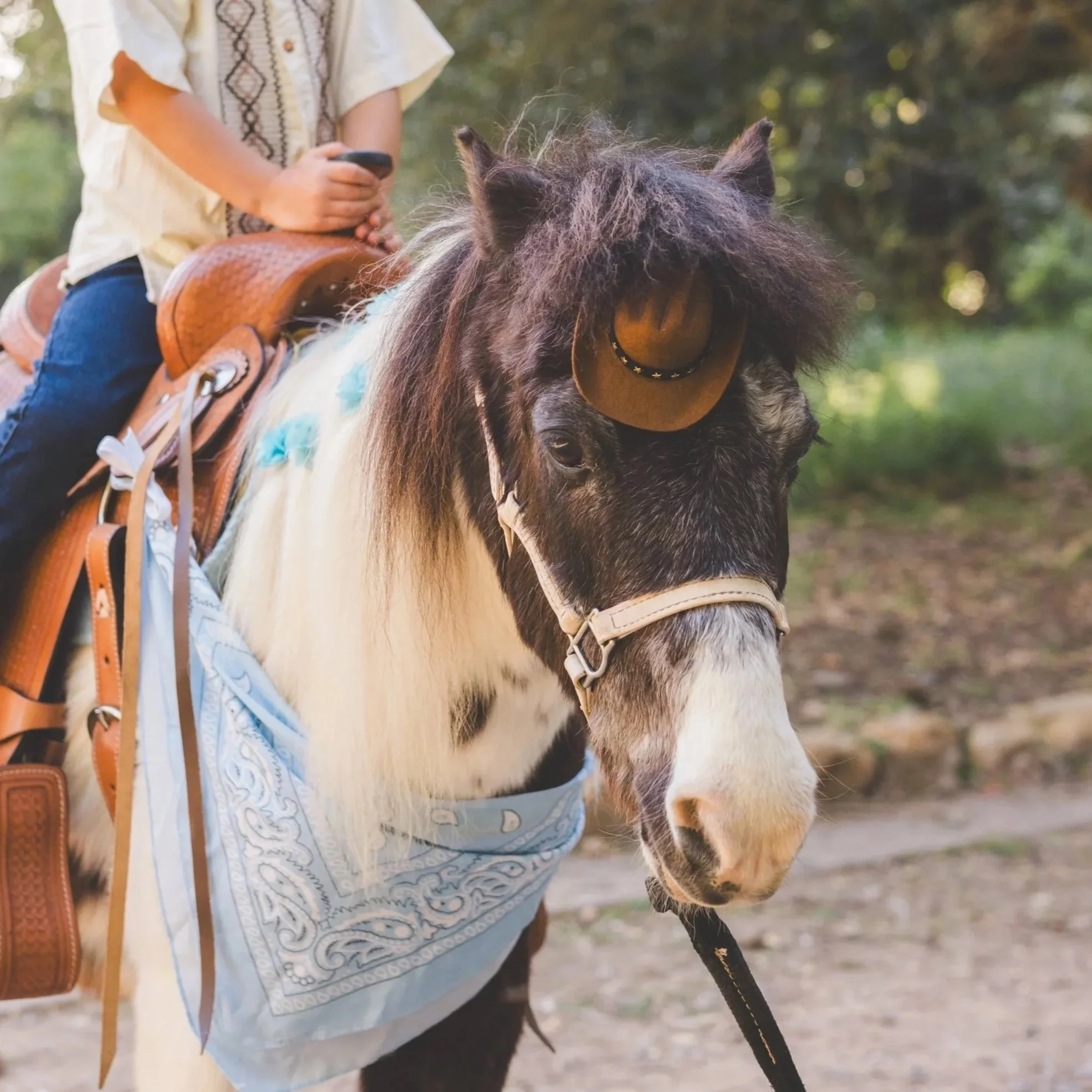 Close-up of a black and white horse with floral accessories on its mane, standing outdoors on a dirt path with blurred trees and a building in the background.