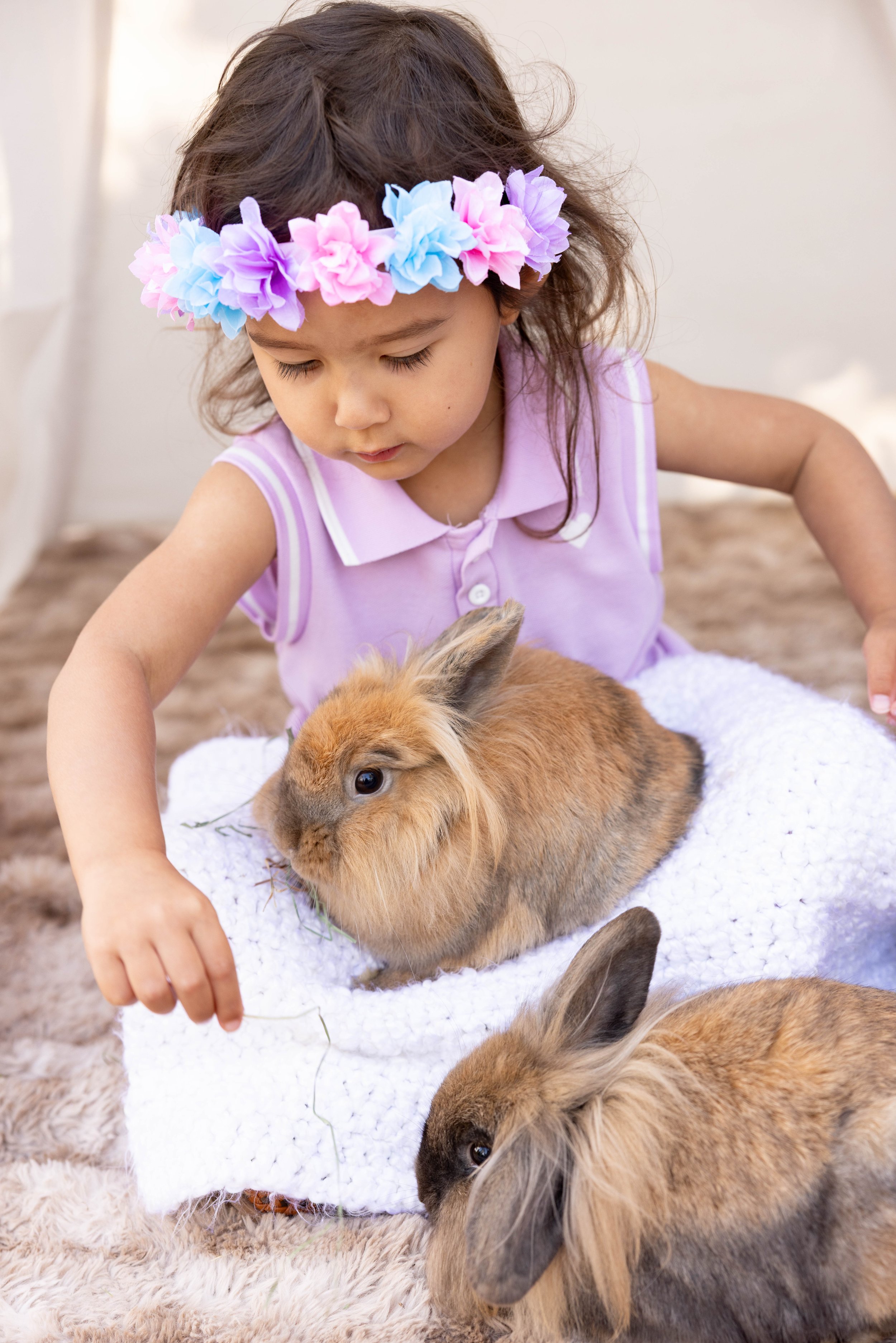 Young girl with a floral headband petting two brown rabbits on a white blanket indoors