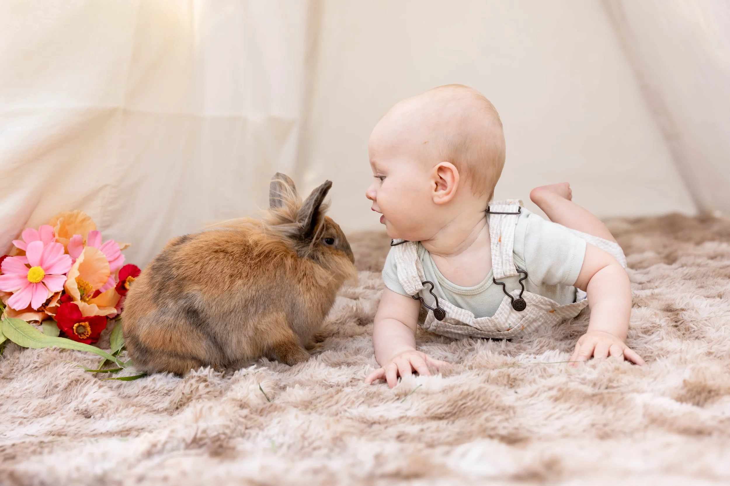 A baby and a bunny rabbit on a soft rug, with colorful flowers nearby, indoors.