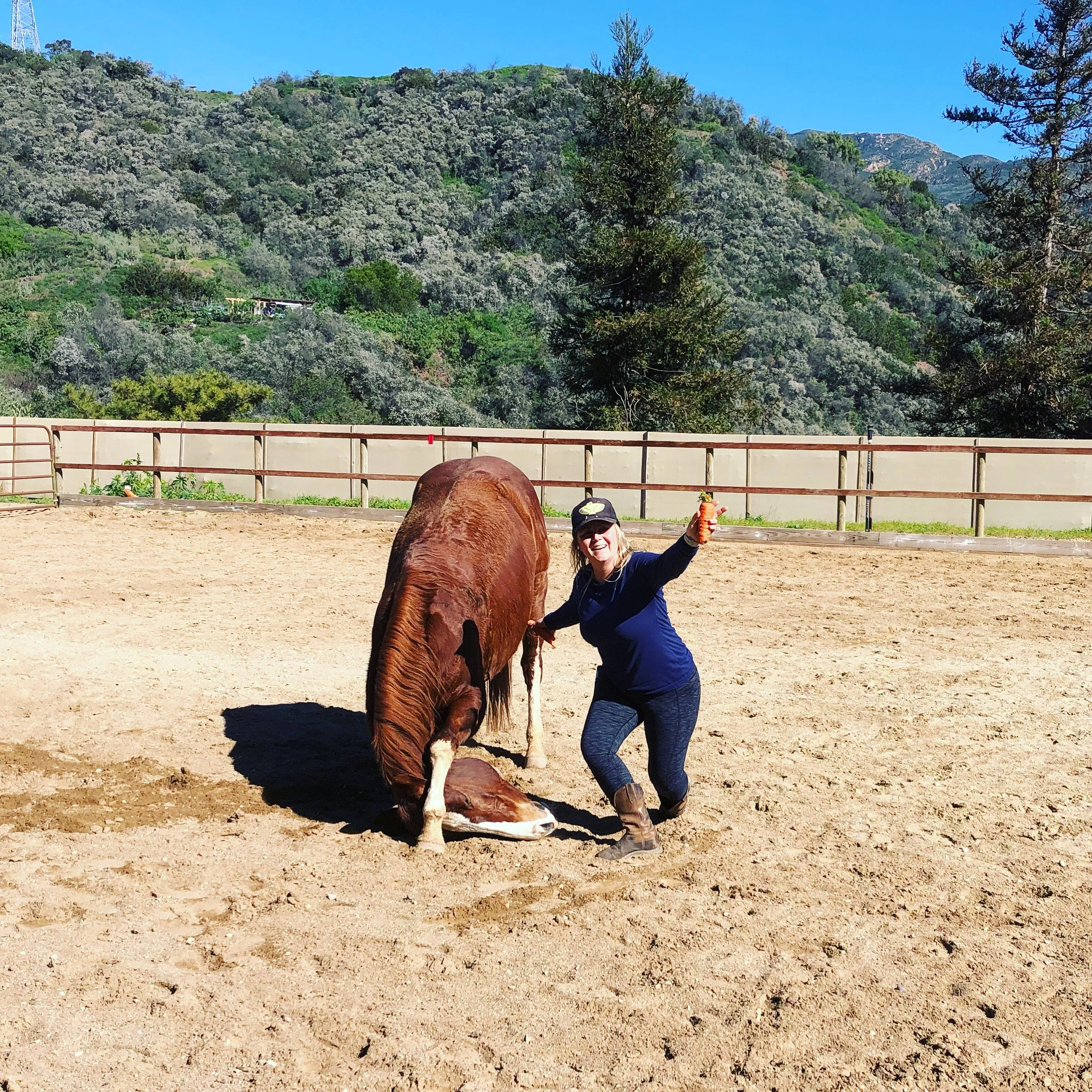 A woman in riding gear smiling and holding a carrot next to a brown and white horse in a fenced outdoor area with mountains and trees in the background.
