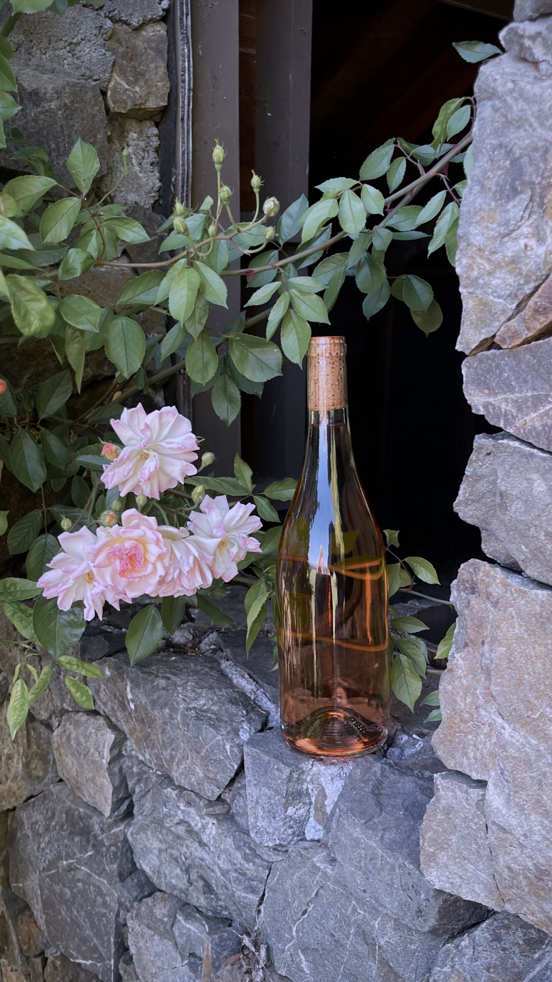 A pinkish-rose colored glass bottle positioned outdoors against a stone wall, partially surrounded by green leaves and pink flowers.