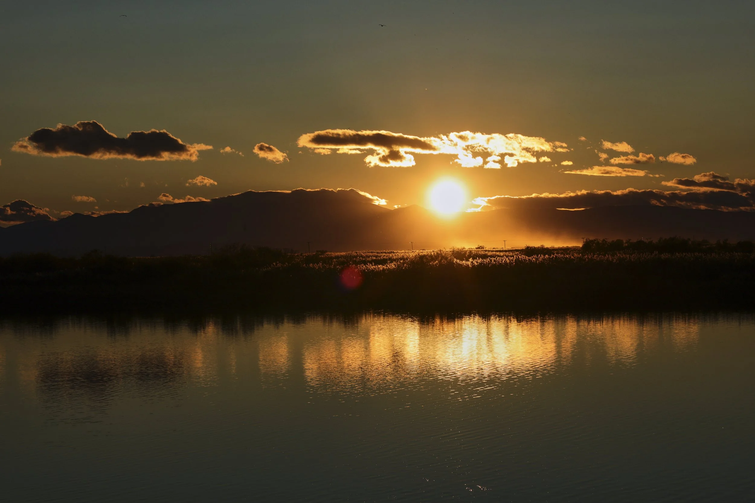 Γεώργιος Σαλβαράς