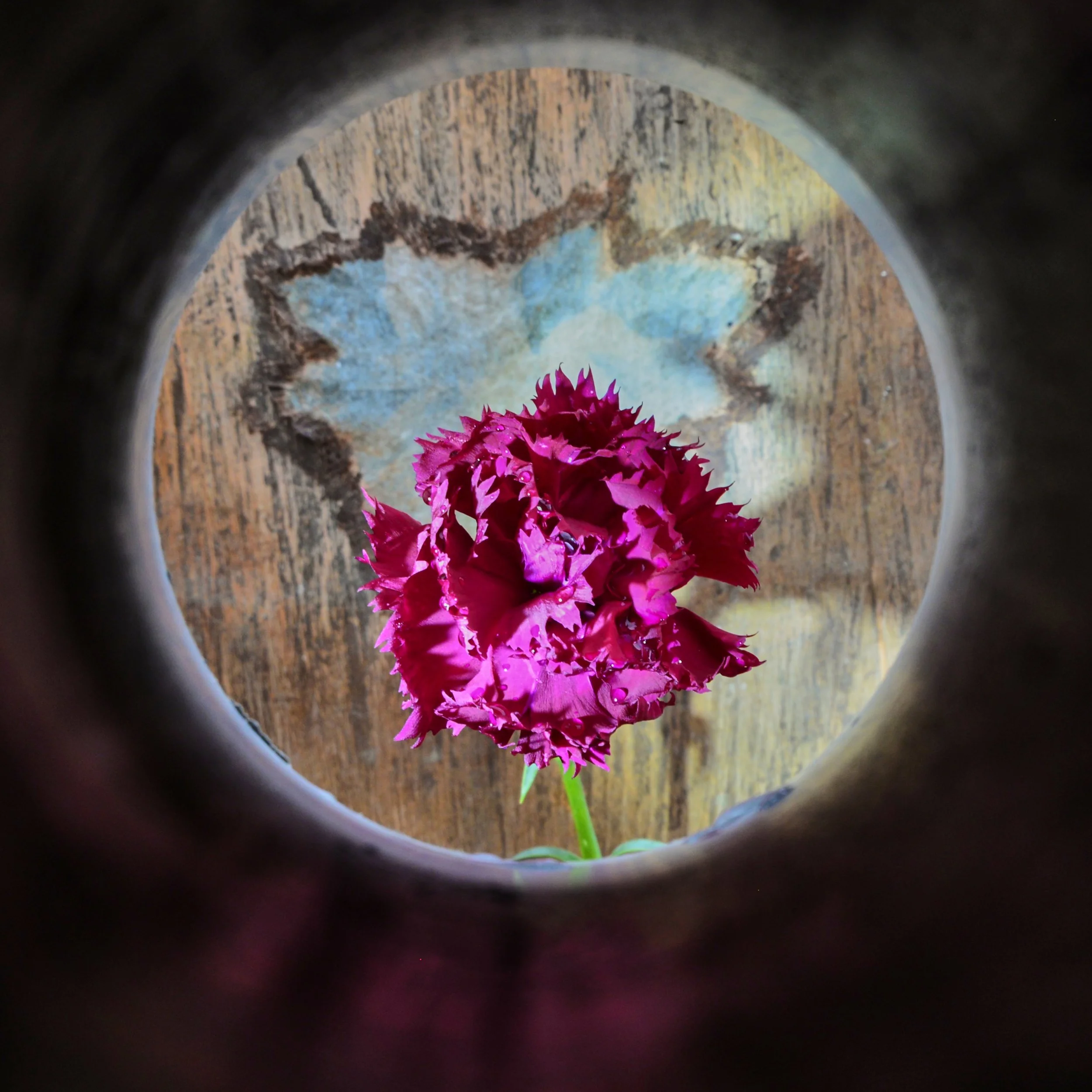 Πάρης Τσακιρίδης