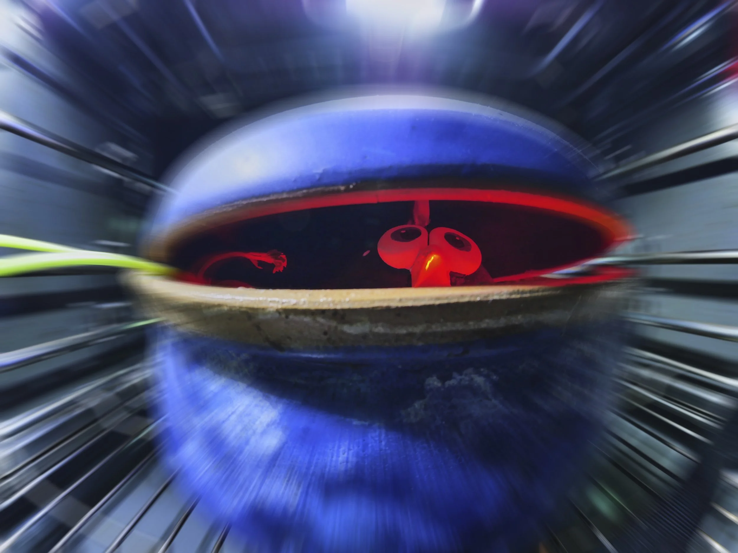 Κωνσταντίνος  Πολίτης