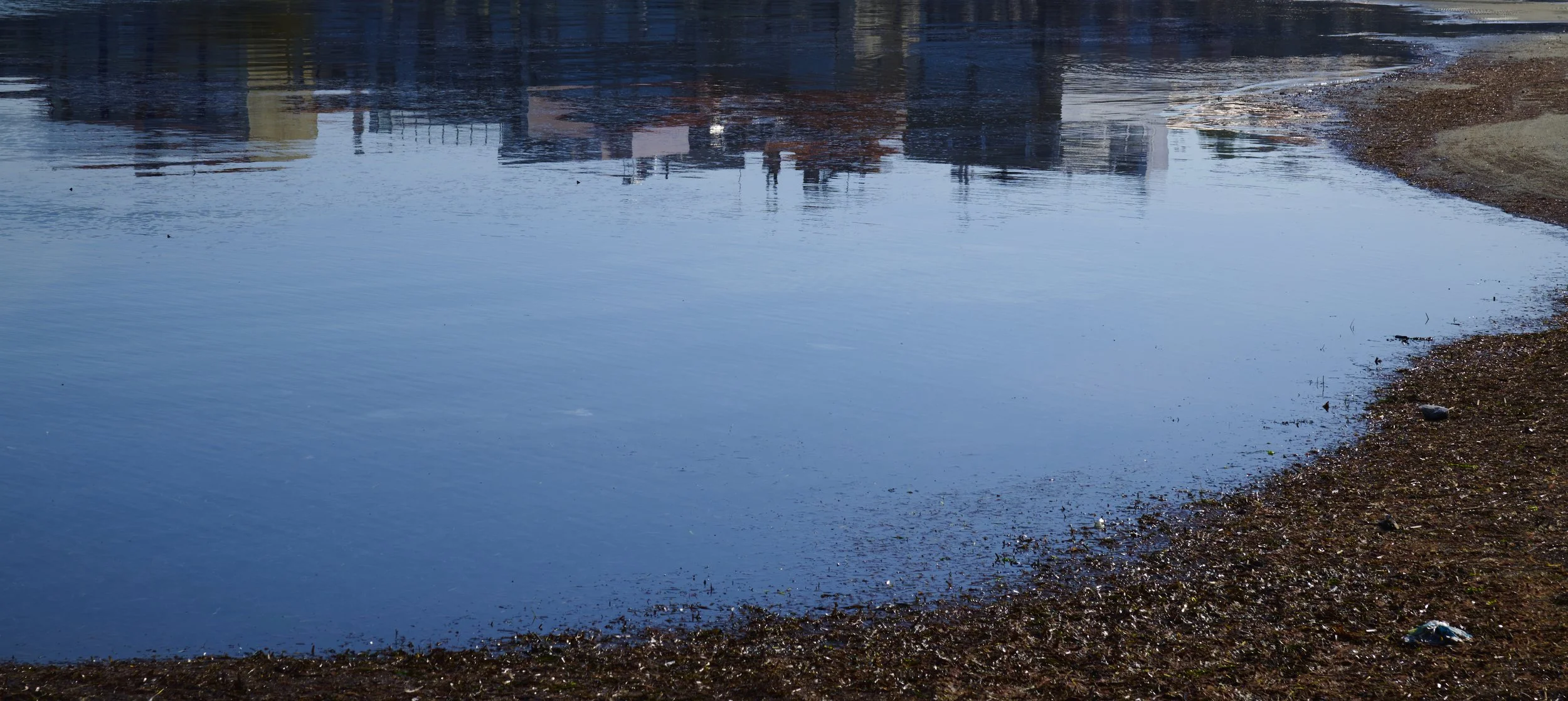 Δημήτρης Ζηδιανάκης