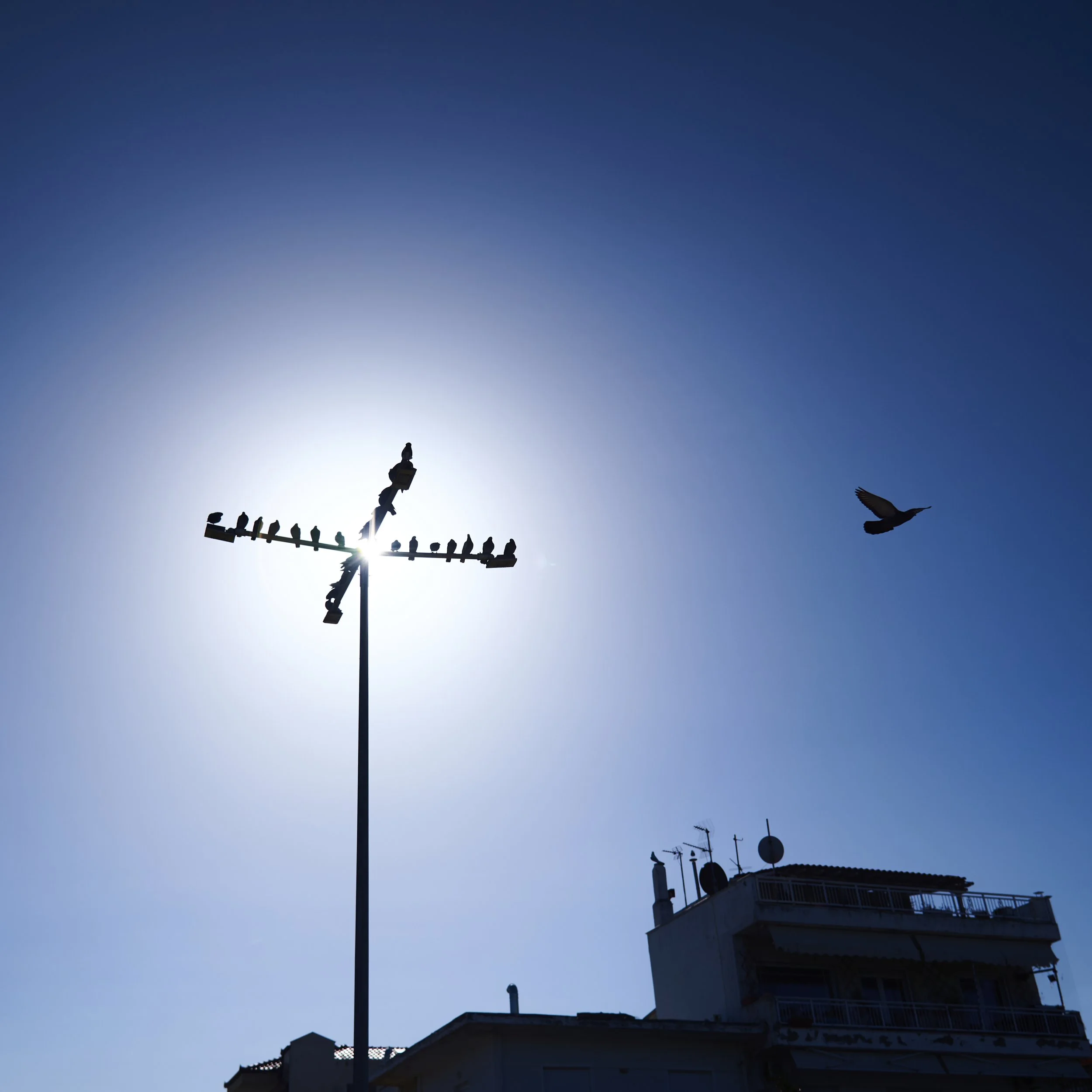 Δημήτρης Ζηδιανάκης