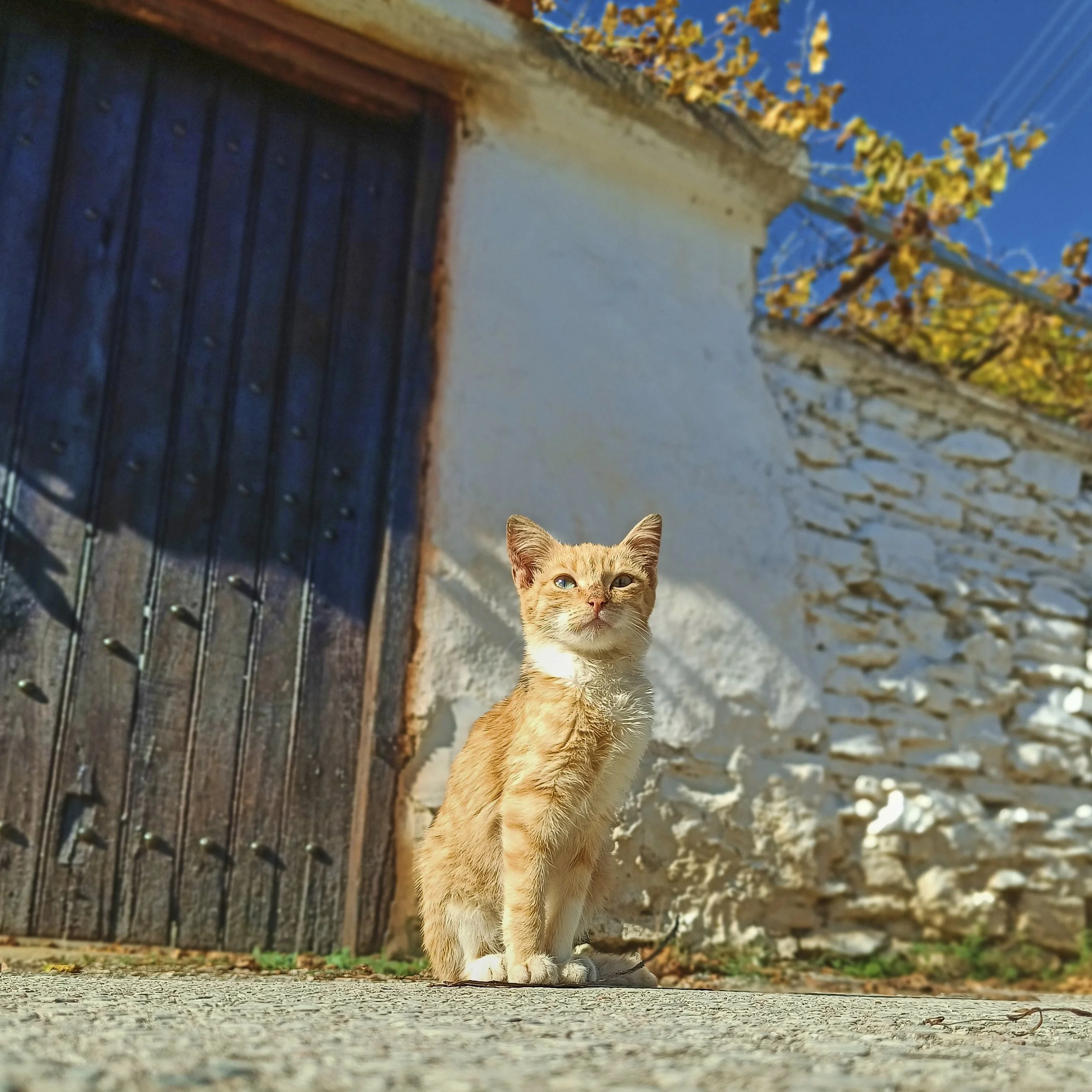 Αγγελική Καζεπίδου