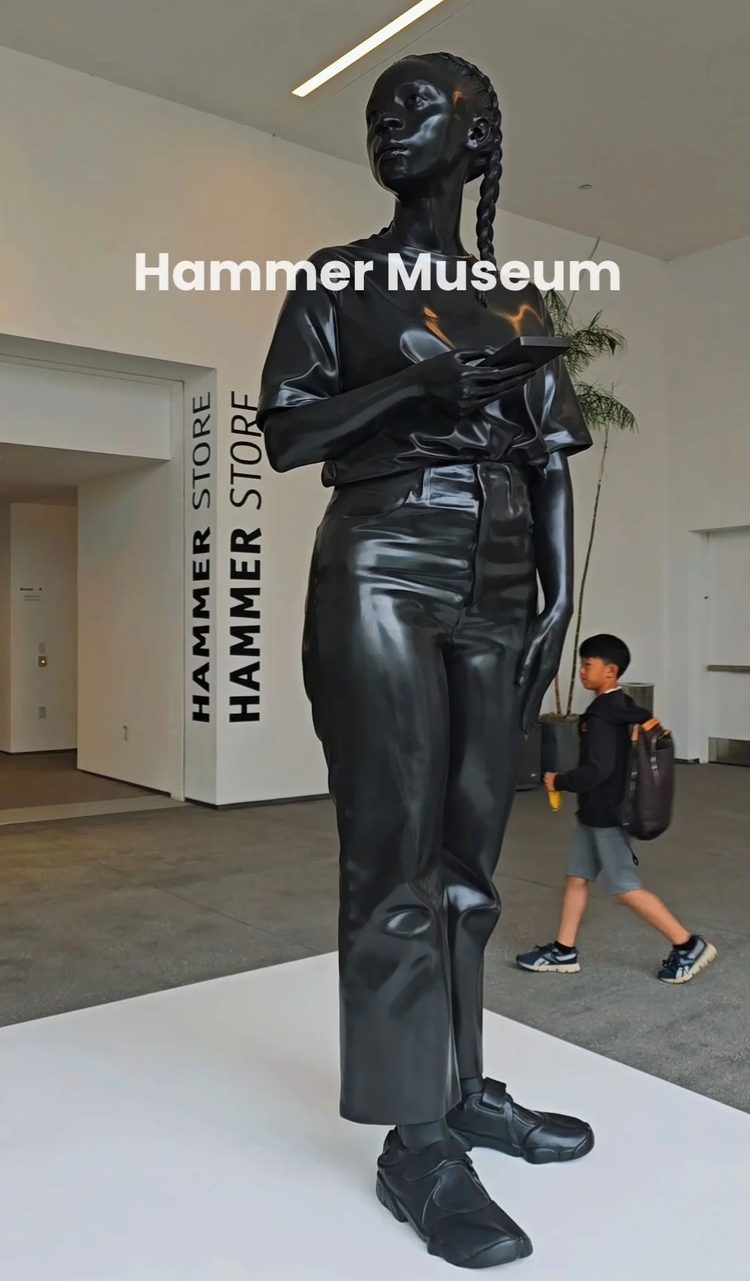HAMMER MUSEUM