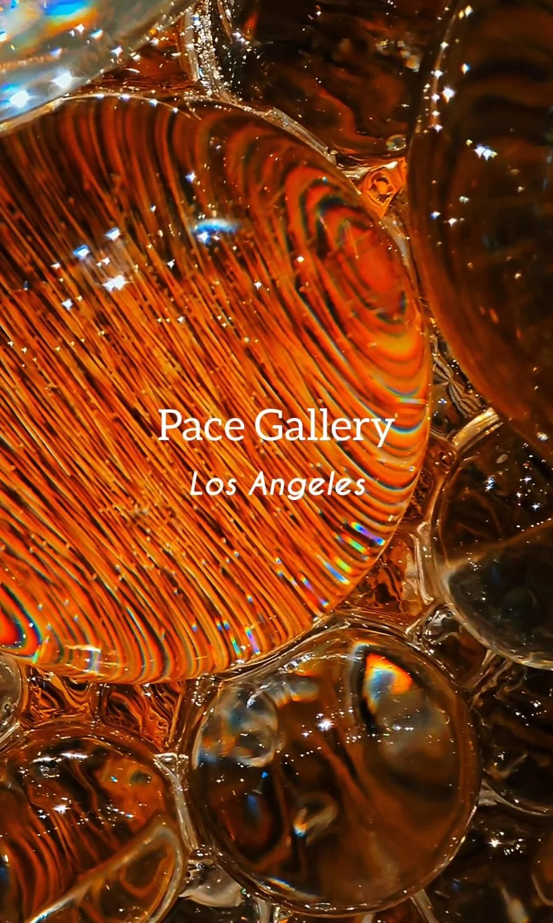 PACE GALLERY