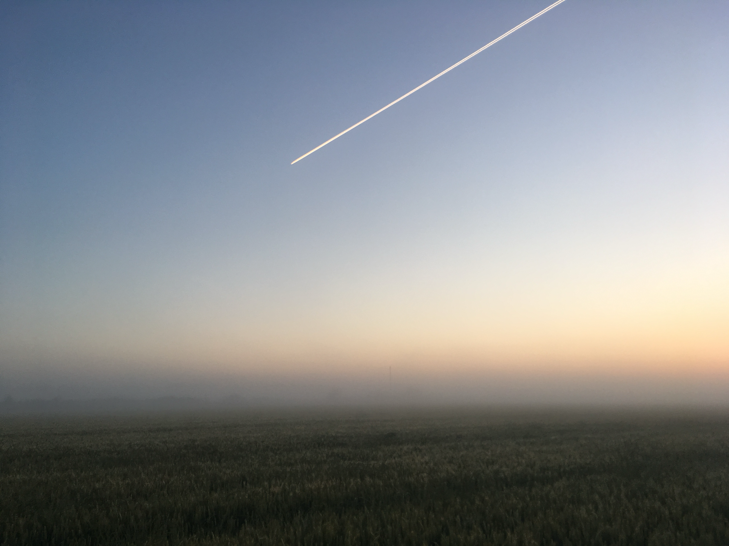 Devotedly Yours, (Finale)