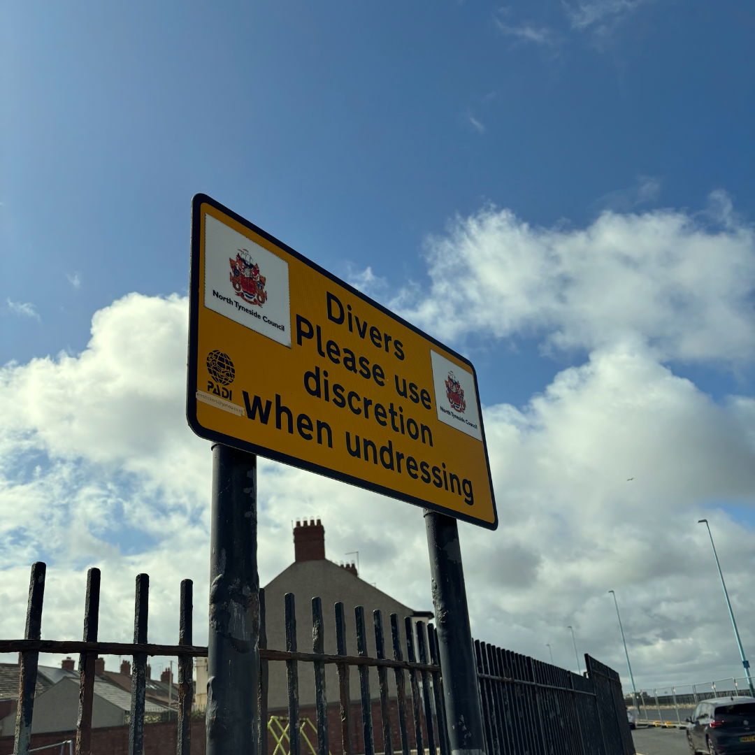 Kiddie Pool (Finale)