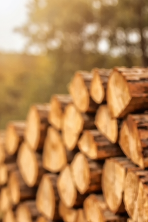 ChatGPT+Image+Mar+10%2C+2026%2C+12_27_27+PM.png (Copy)