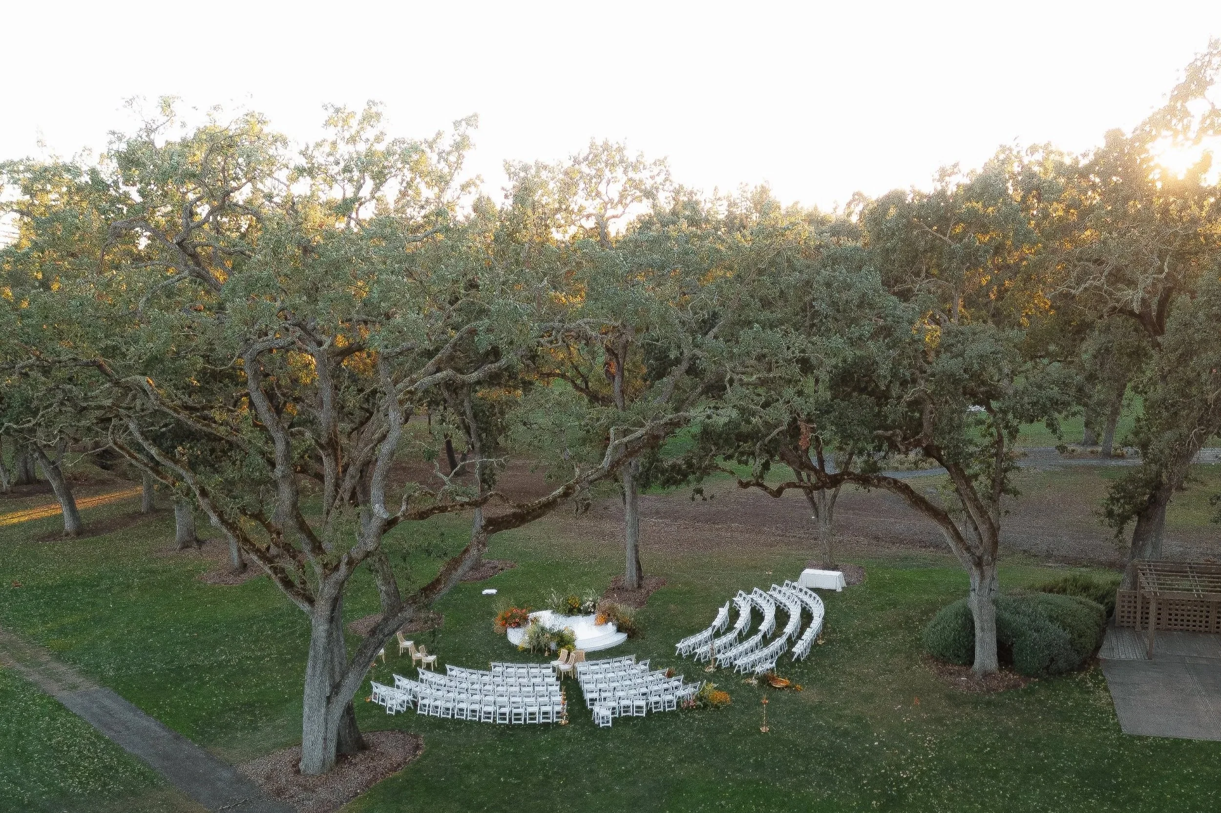 Outdoor wedding setup under large trees with white chairs arranged in semi-circle and a platform decorated with flowers.