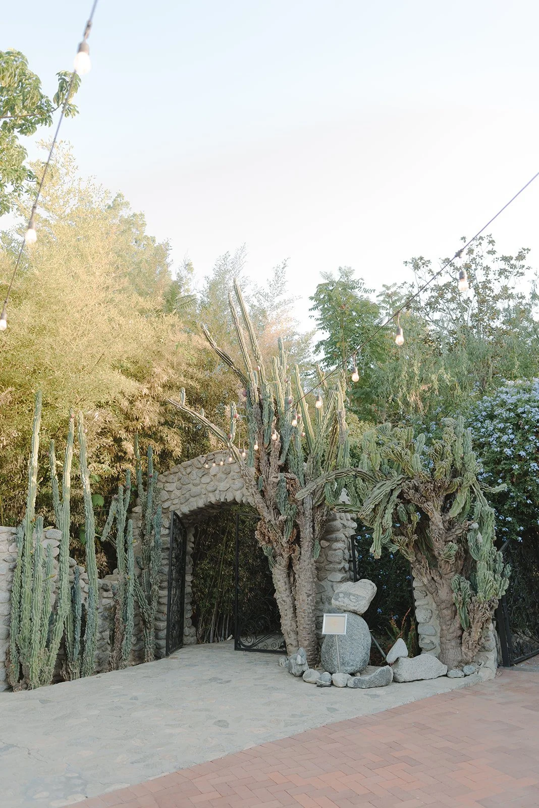 Entrance with stone archway and black iron gates, surrounded by cacti and desert plants, with string lights hanging overhead, in a desert garden setting.