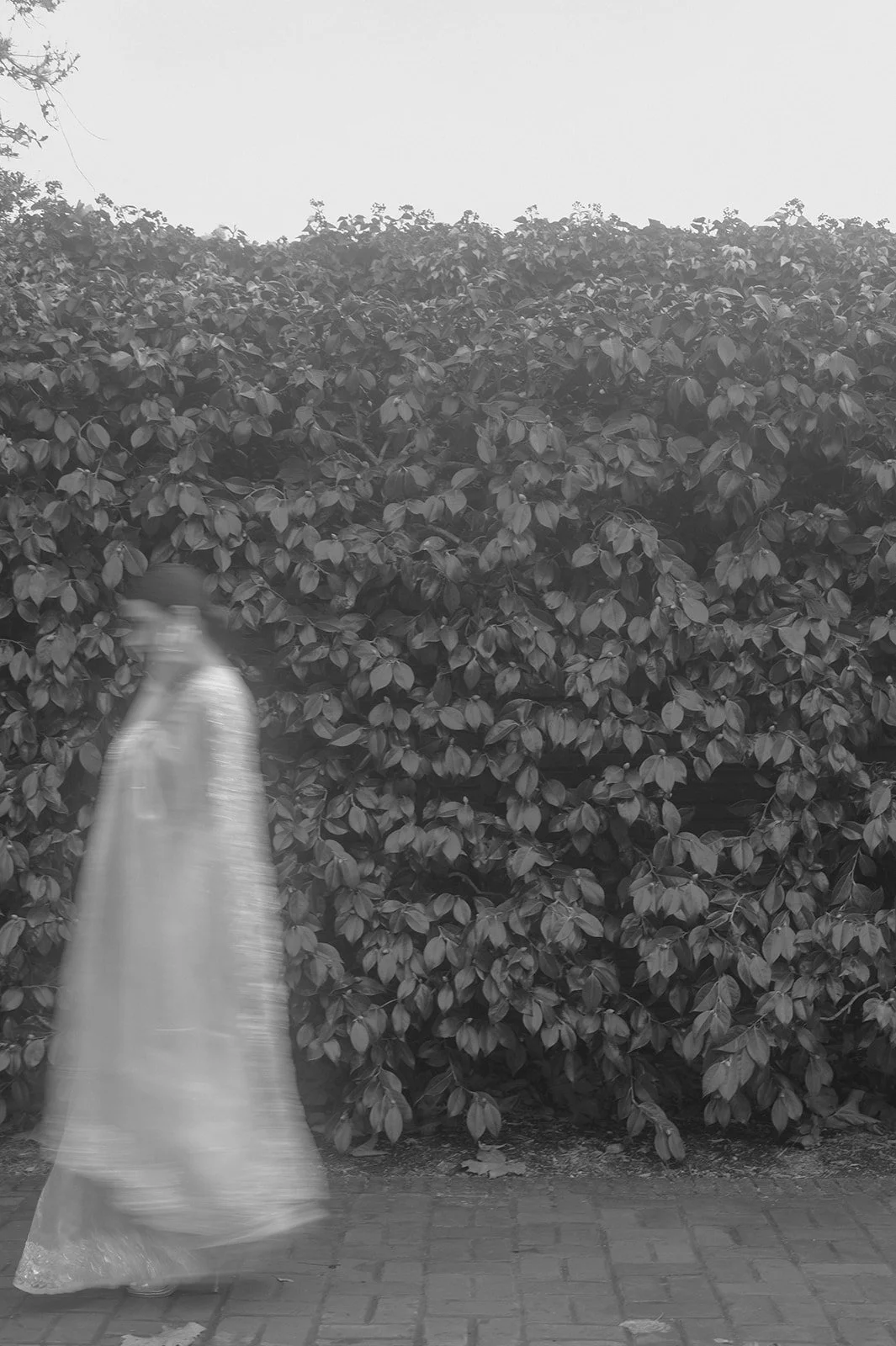 A blurred woman in a flowing dress walking past a large bush or hedge on a sidewalk.