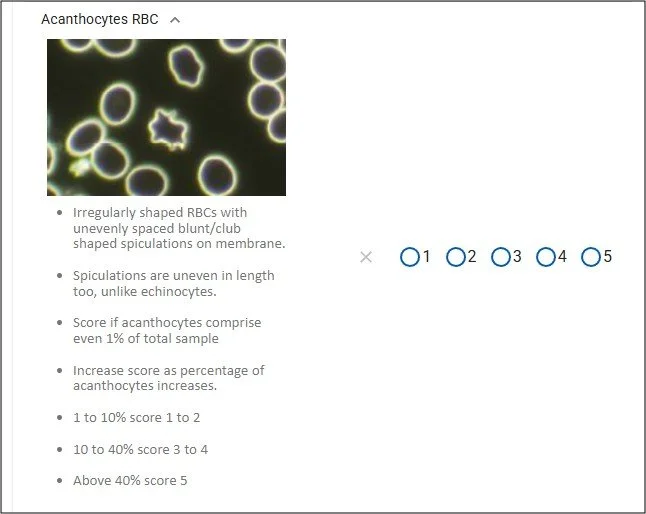 Indication Notes panel