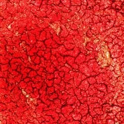 dry blood analysis sample