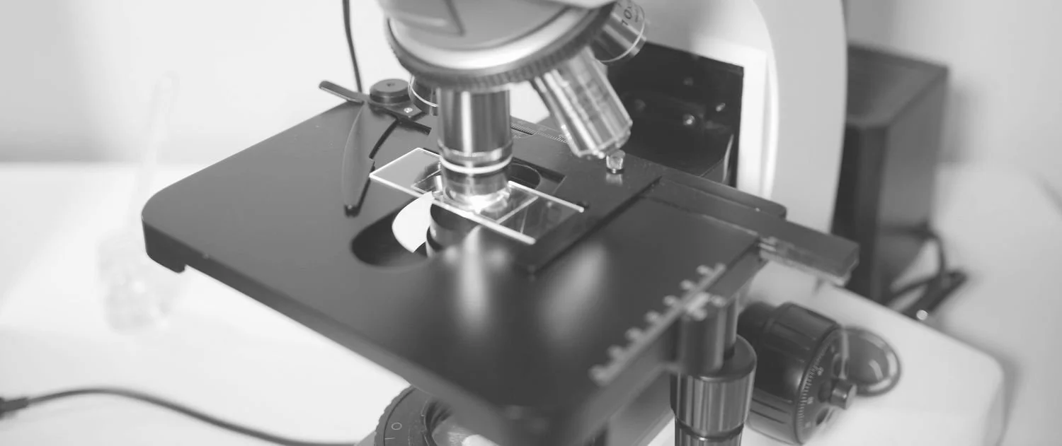 darkfield microscope doing live blood analysis