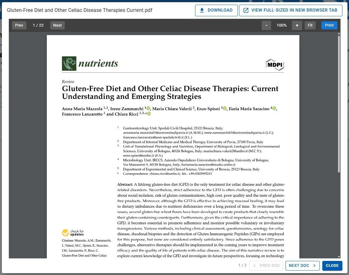 document preview panel