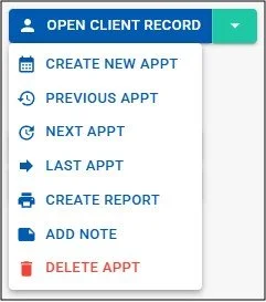 appointmnet button selector