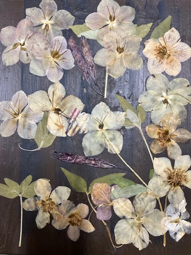 Catherine Engelmeyer art flowers nature.jpg