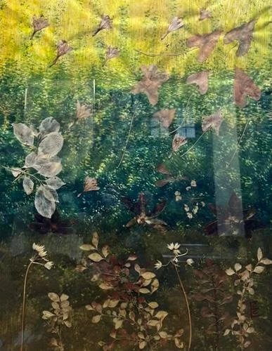 Rearranging Nature #1 | 24x29 monoprint | Ink & mixed media on mulberry paper | Framed in a gold metal frame | $1100 