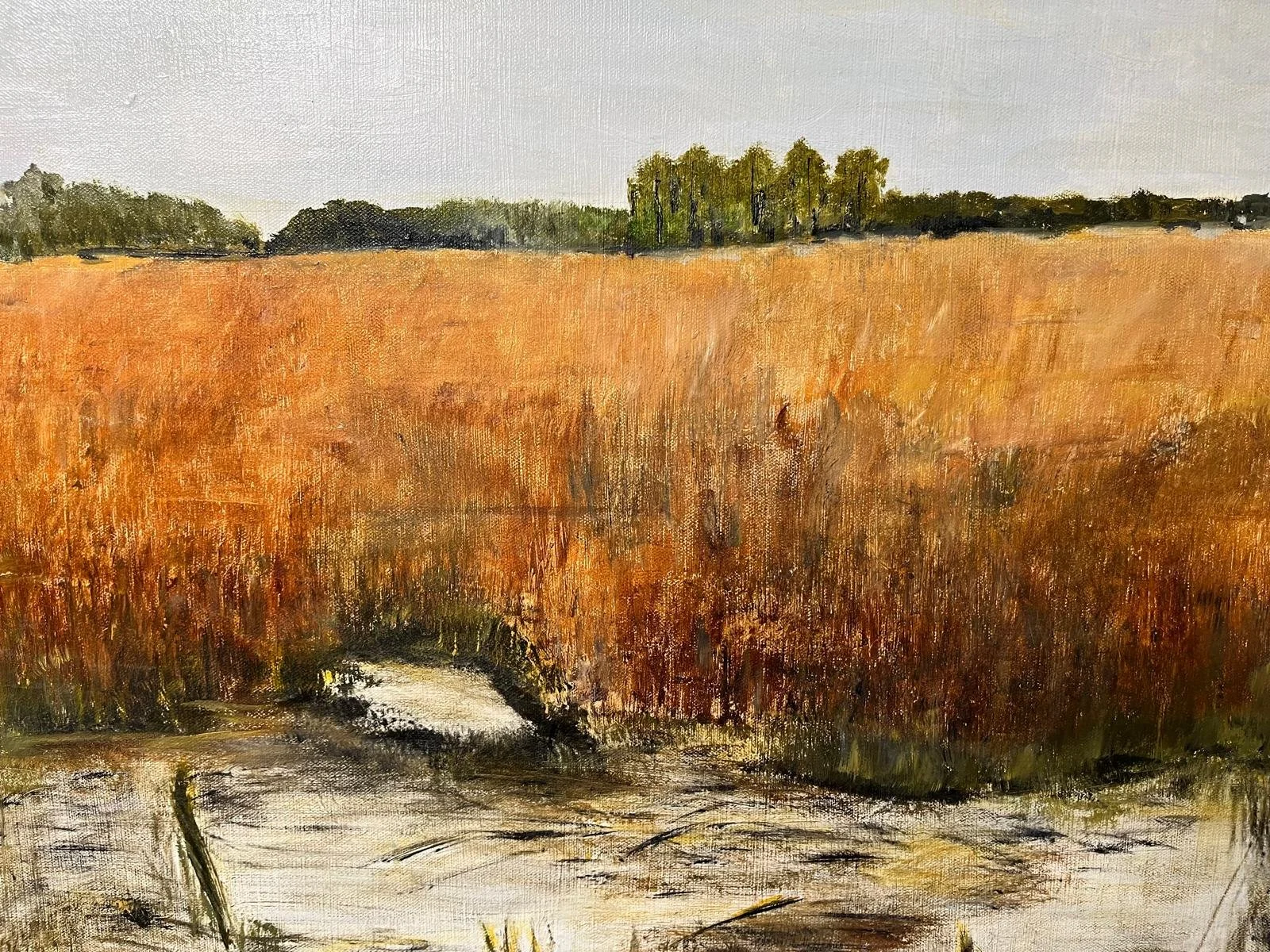 Catherine Engelmeyer Art field.jpeg