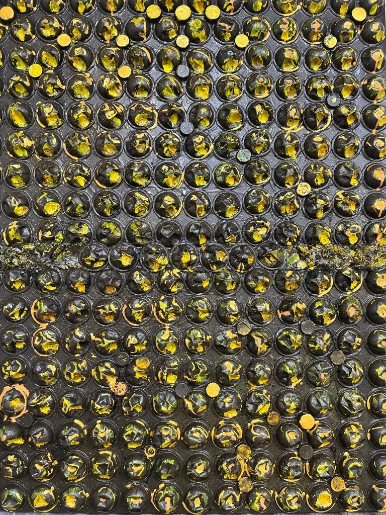 Catherine Engelmeyer nespresso pod art.jpg