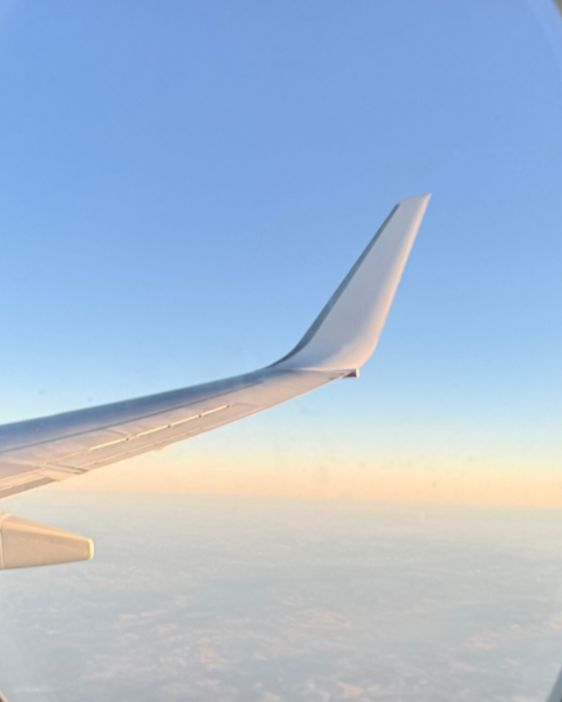 View from an airplane window showing the airplane wing and a clear sky with a horizon at sunset.