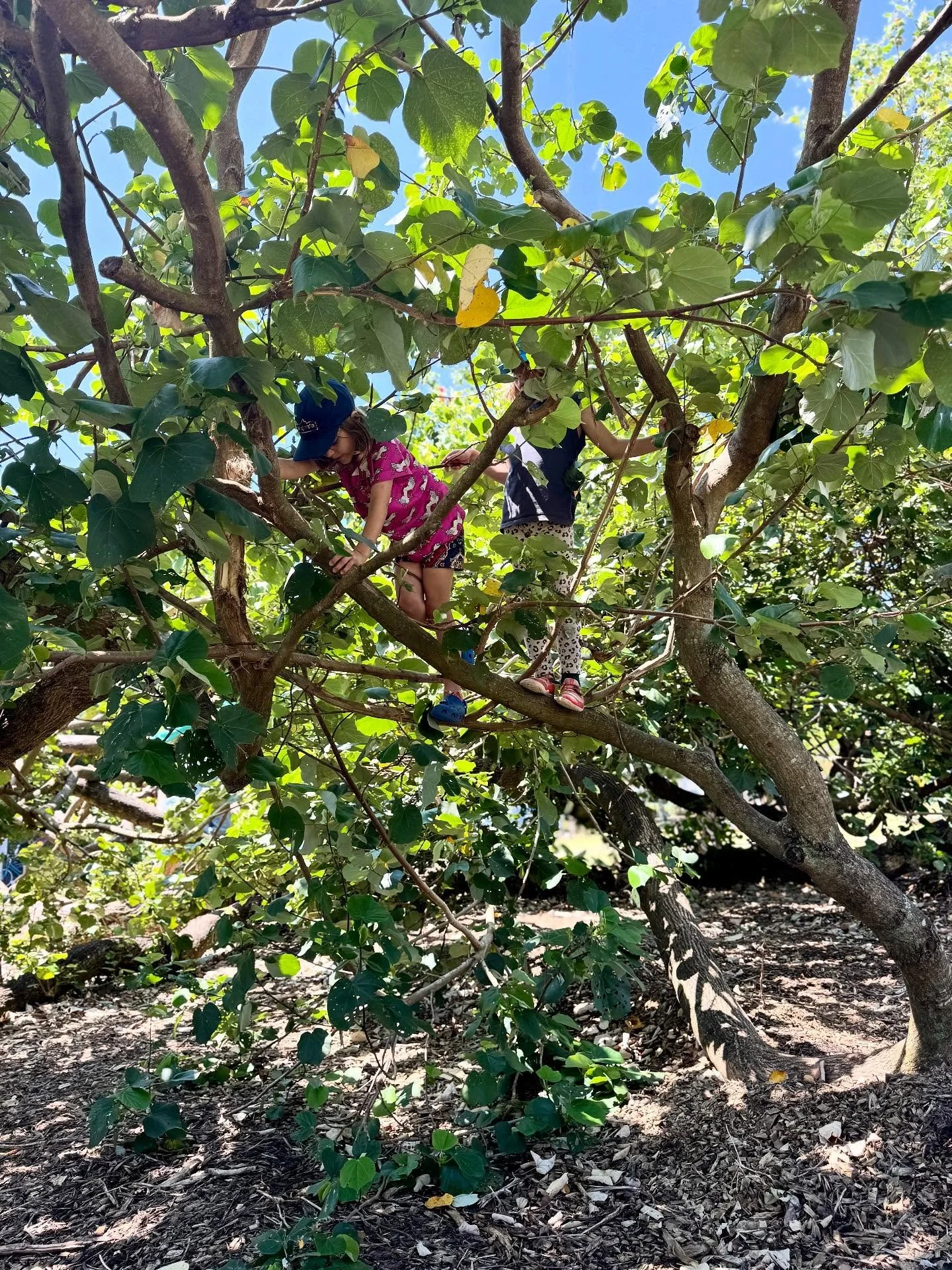 Last day of school holidays! (Tomorrow doesn&rsquo;t count &mdash; back to work 😅)

We&rsquo;ve been quiet here while @kerryhardey and @jazzastar3 soaked up time with their kids and grandkids. As a new business, it&rsquo;s tricky to juggle building 