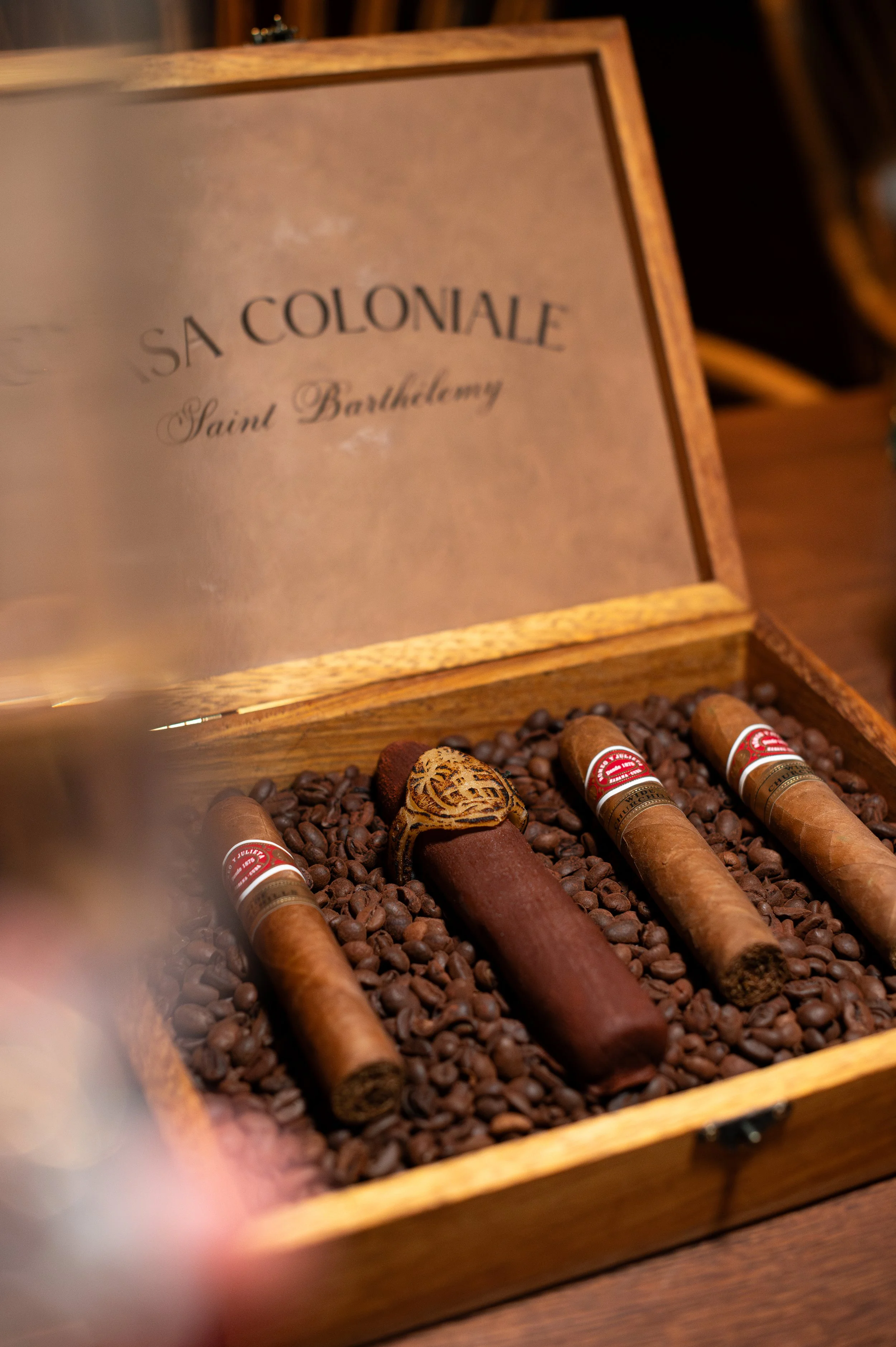 hugo allard © Casa Colo part IIII-158.jpg