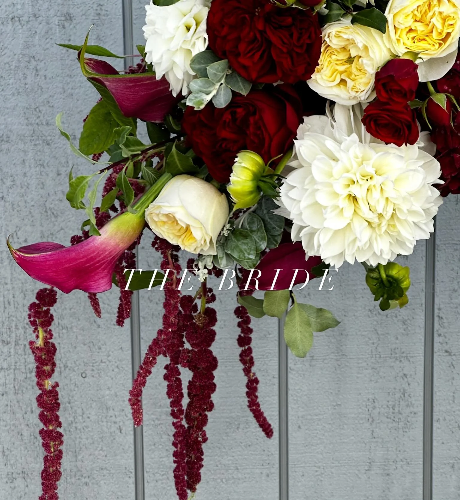 It is the season of COLOUR. We loved creating this bold burgundy moment for Danielle and her girls @coolibahdownsprivateestate 

Enquire today for your upcoming wedding, head to the website. Www.lavishfloraldesign.com.au 

#goldcoastwedding #goldcoas