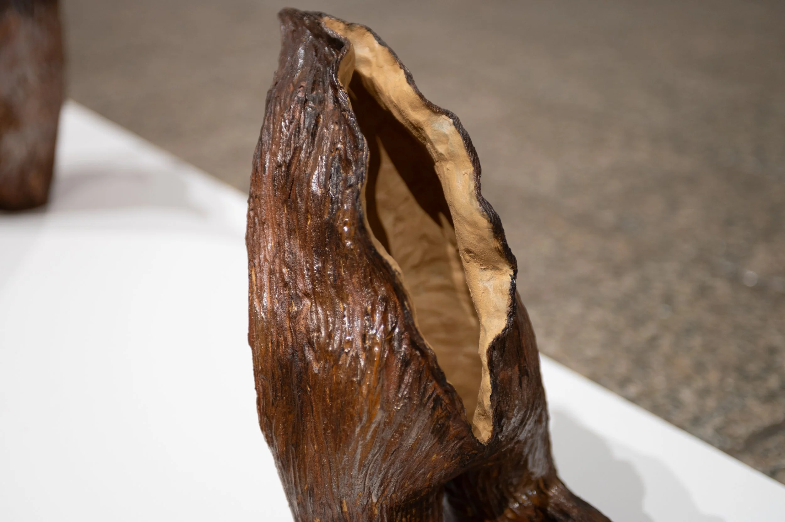 carring blossom-8.jpg