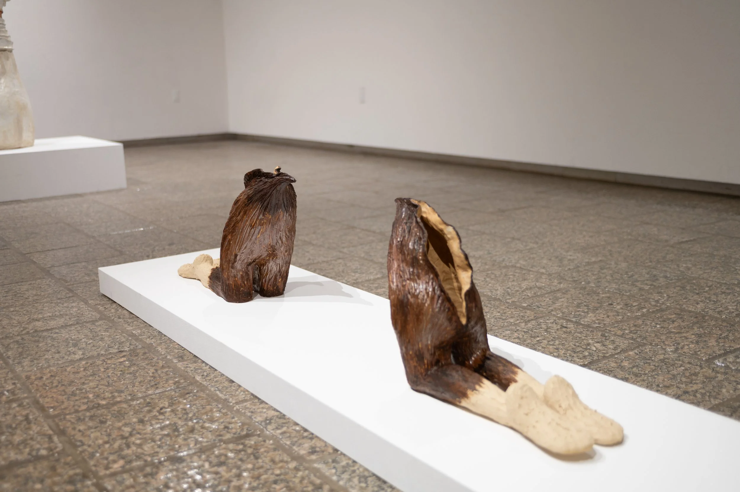 carring blossom-2.jpg