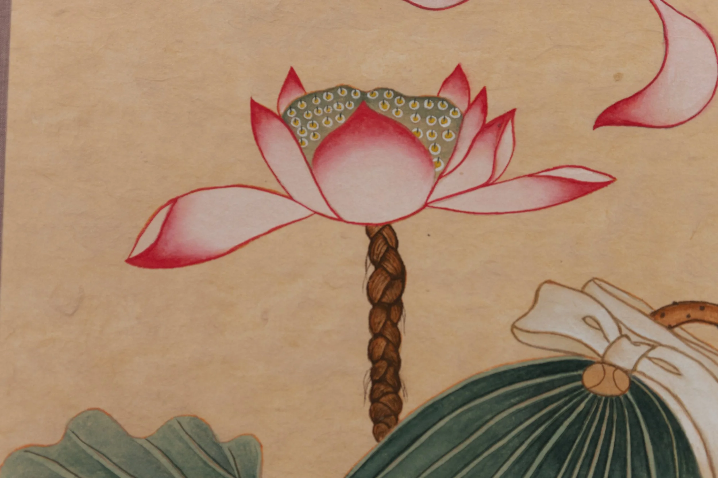 carring blossom-5.jpg