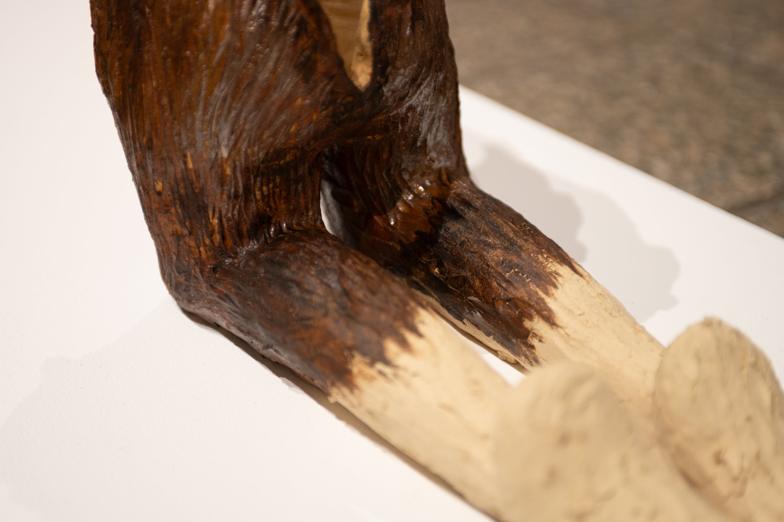 carring blossom-9.jpg