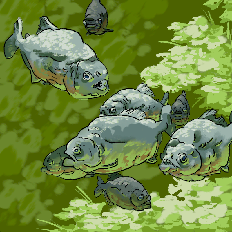 piranhas.png