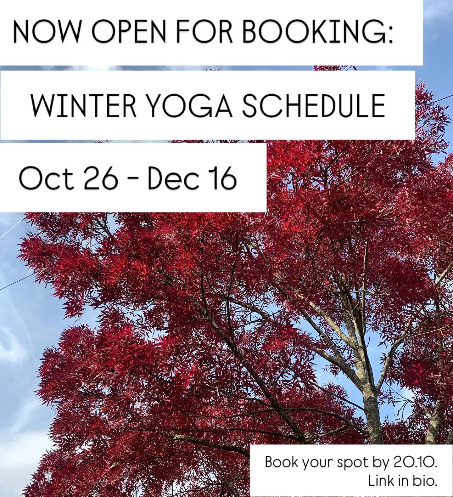 The new winter term of yoga classes is now open for bookings! It will run from Oct 26 - Dec 1 and I am offering Tuesdays 8pm, Sundays 8.45am and putting Thursdays 7.30pm back out there. Please book into the placeholder classes (26 / 28 / 30.10) on th