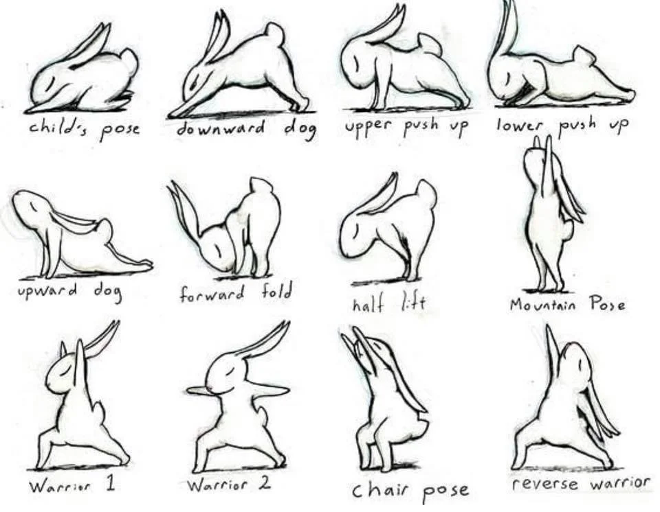 Put a Spring in Your Step: Class Bookings open Now for April-May
 Link to Info in Bio! 🌸