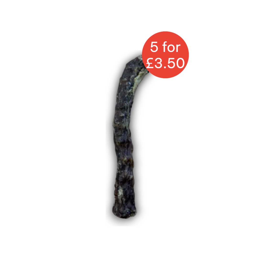 duckneck5for350.png